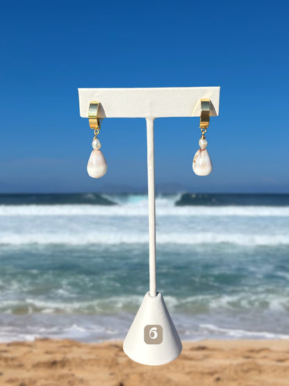 Hawai'i Shell Earrings